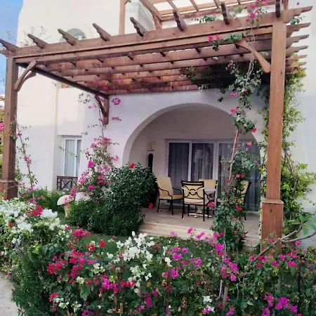 Private Luxury Villas At Sharm Dreams Vacation Club Exterior photo